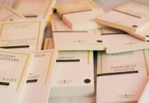 अनुवाद की संकल्पना में संज्ञा की अनुवादनीयता का प्रश्न (हिंदी से अनुवाद करने के विशेष संदर्भ में)- शिवानी पंवार stack of classic literature books in turkish