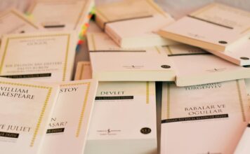 अनुवाद की संकल्पना में संज्ञा की अनुवादनीयता का प्रश्न (हिंदी से अनुवाद करने के विशेष संदर्भ में)- शिवानी पंवार stack of classic literature books in turkish