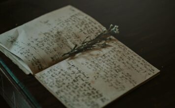 Exploring Translation Approaches for “Ain i Akbari”-Nodirbek Salimbekov close up photo of white and black journal